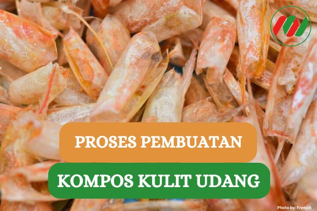 Jangan Dibuang!! Ini Dia 9 Cara Membuat Kompos Kulit Udang